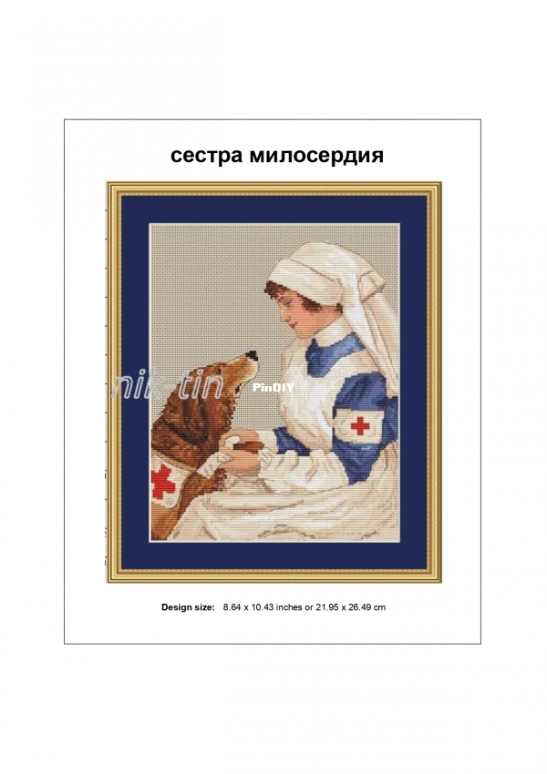 Nik-tin-Sister of mercy.jpg