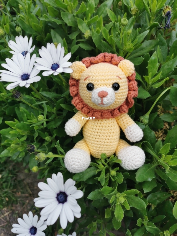 Lion 3