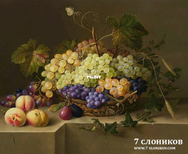 492 Still life with grapes.jpg