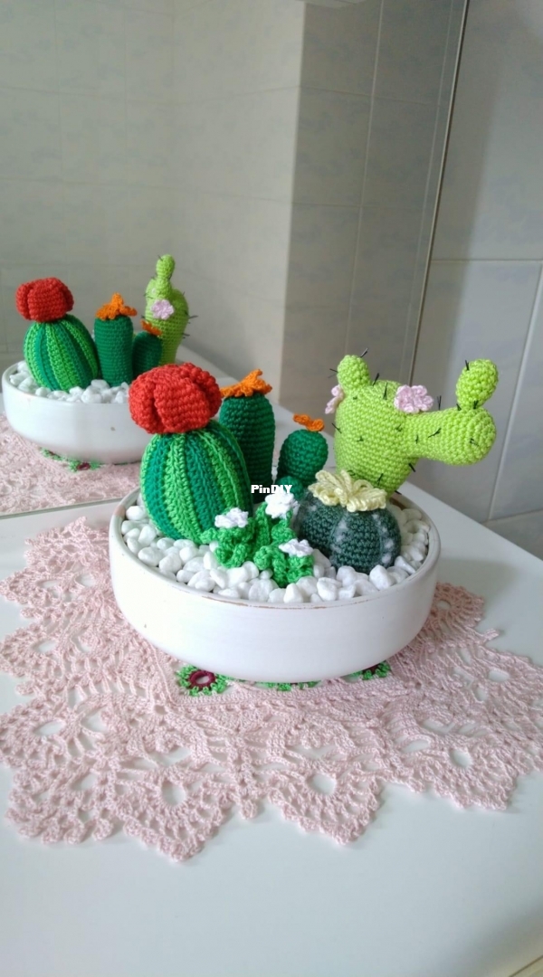 Cactus 