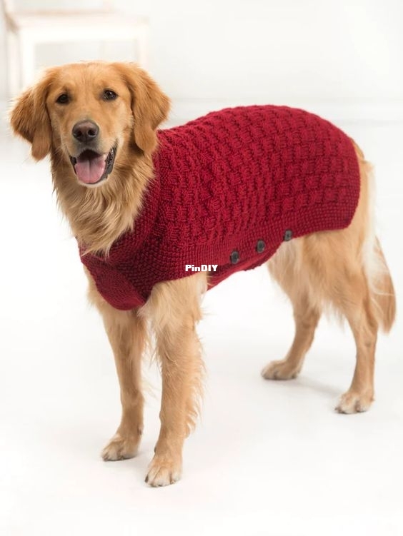 Clifford Dog Sweater.jpg