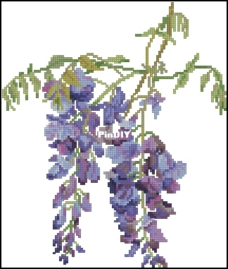 30018 Wisteria.jpg