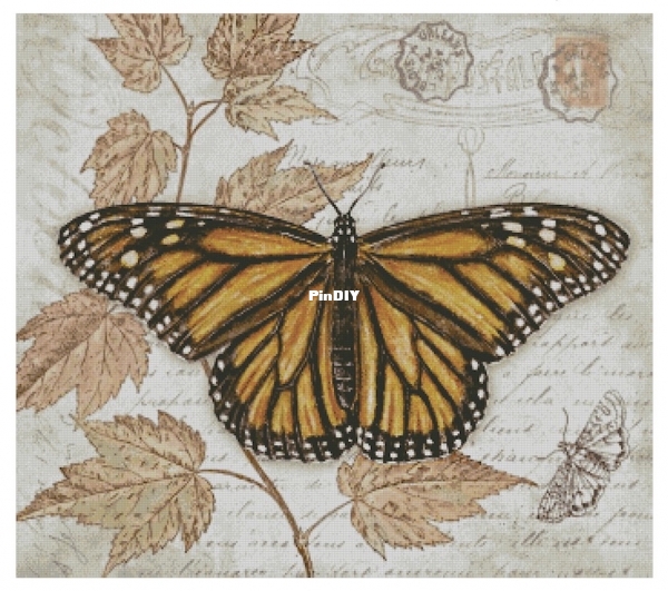 Butterfly Vintage 12 preview,jpg.jpg