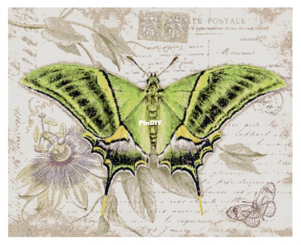 Butterfly Vintage 10 repaint preview.jpg
