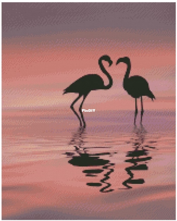 Para_flamingo_na_zakate_1.jpg