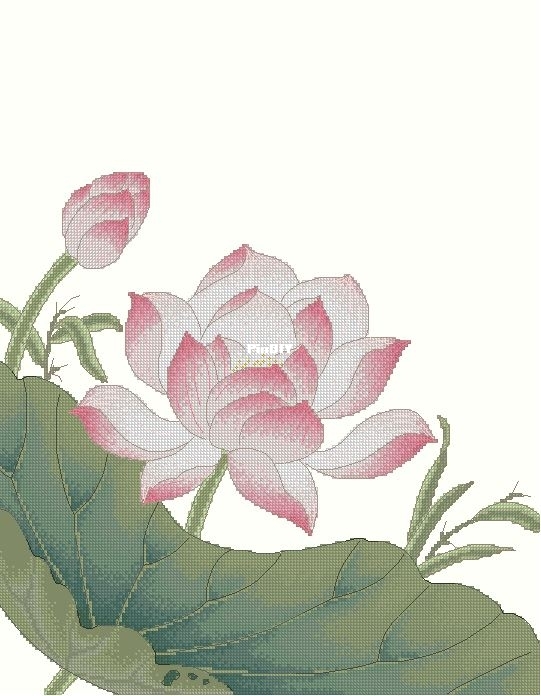 Xiu Crafts 2031904 Lotus_Repaint.JPG