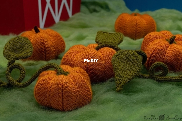 pumpkin patch.jpg
