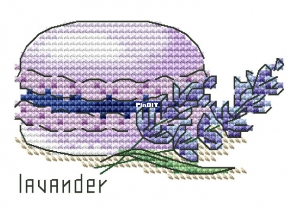lavender.jpg