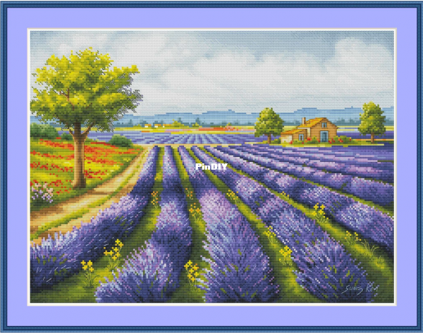 Lavender.PNG