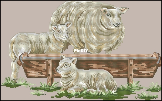 12-9414=92-4175 Schapen.jpg