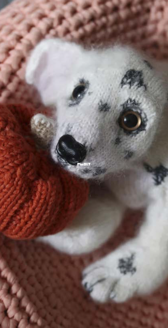 dalmatian puppy