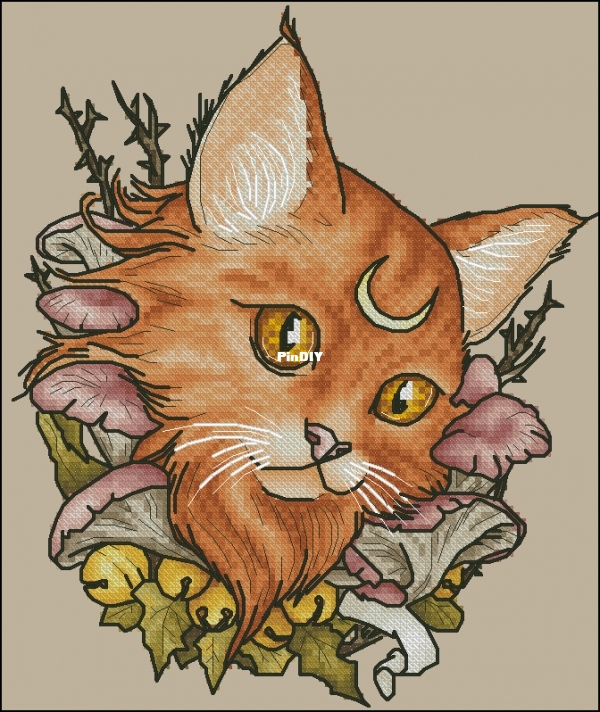 Moon Cat.jpg