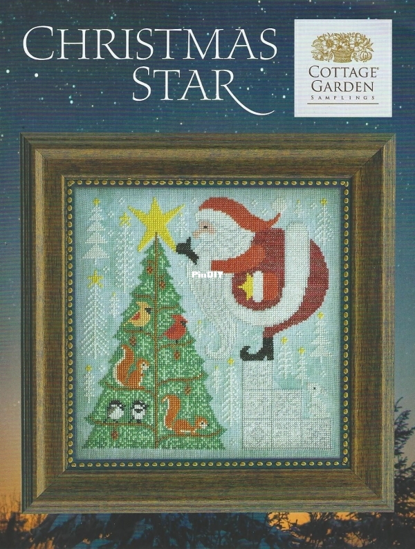 Christmas Star.jpg