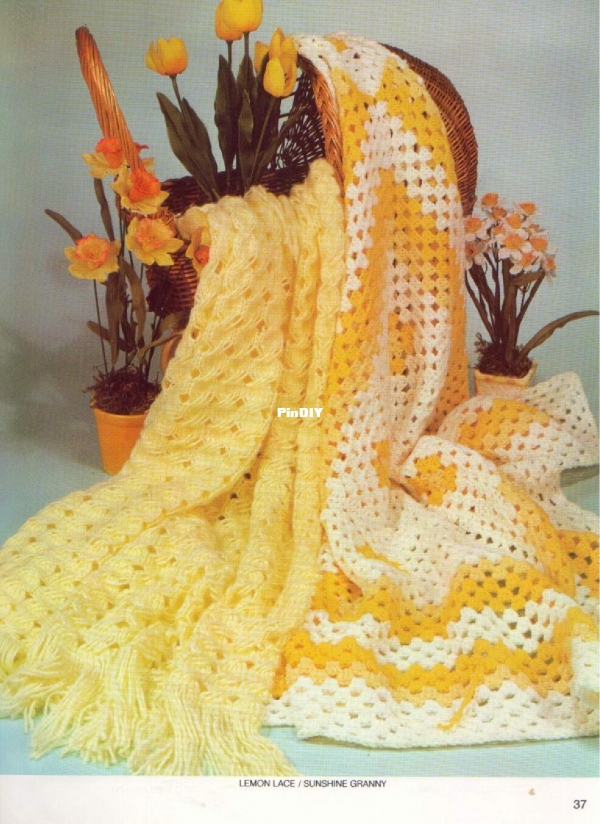 7 day afaghan book by jean leinhauser &amp; rita weiss 2 (c) (32).jpg