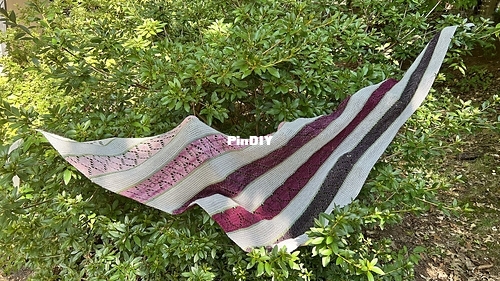 Blossom__01_medium.jpeg