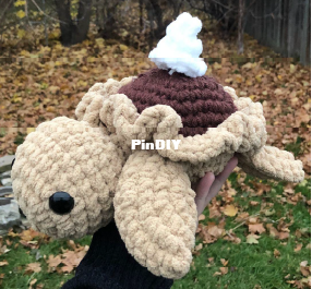 Pie Turtle.png