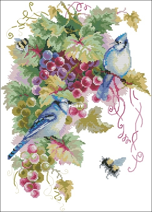 Magic Needle 130-022 Blue Jay and Grapes XSD.jpg