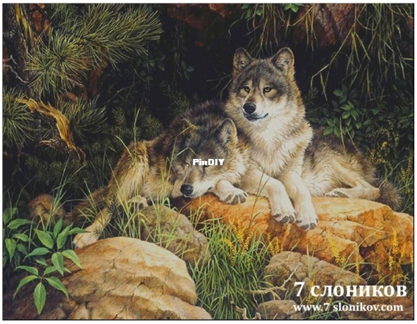 A pair of wolves.jpg