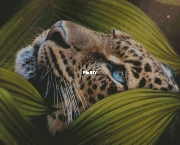 Tree House - Predator.jpg