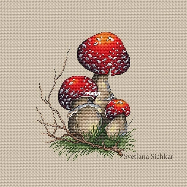 Amanita 1.jpg
