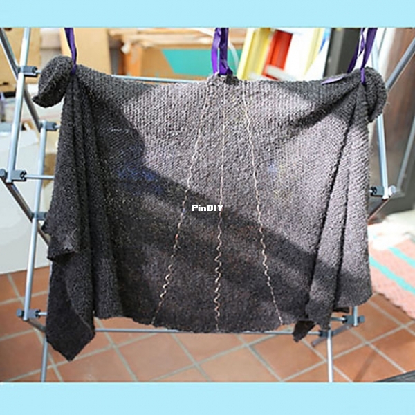 AragonShawlRavPhoto_medium2.jpg