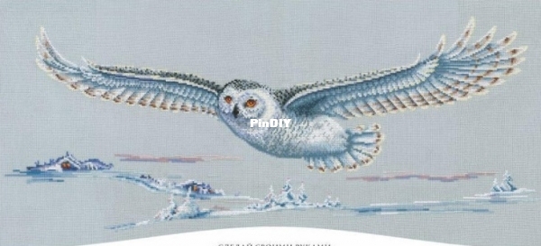 polar owl.jpg