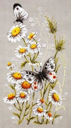 in a field of chamomile.jpg