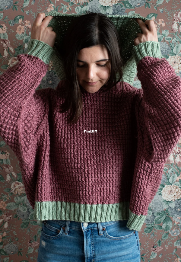 Lake Placid Hooded Sweater1.png