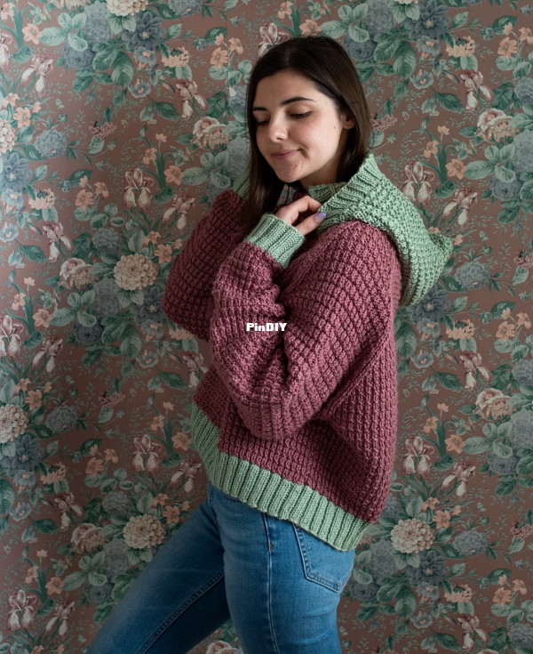 Lake Placid Hooded Sweater2.png
