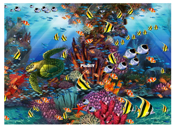 reef.png