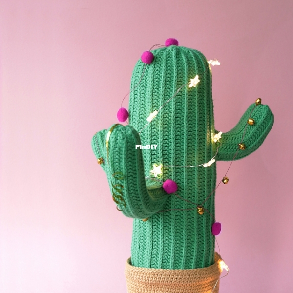 Cactus_Party_2_medium2.jpg