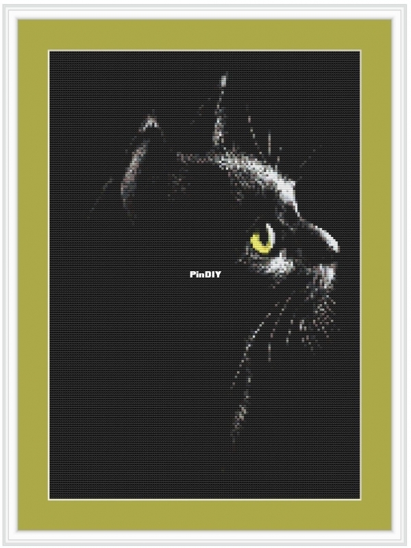 black cat 5.jpg