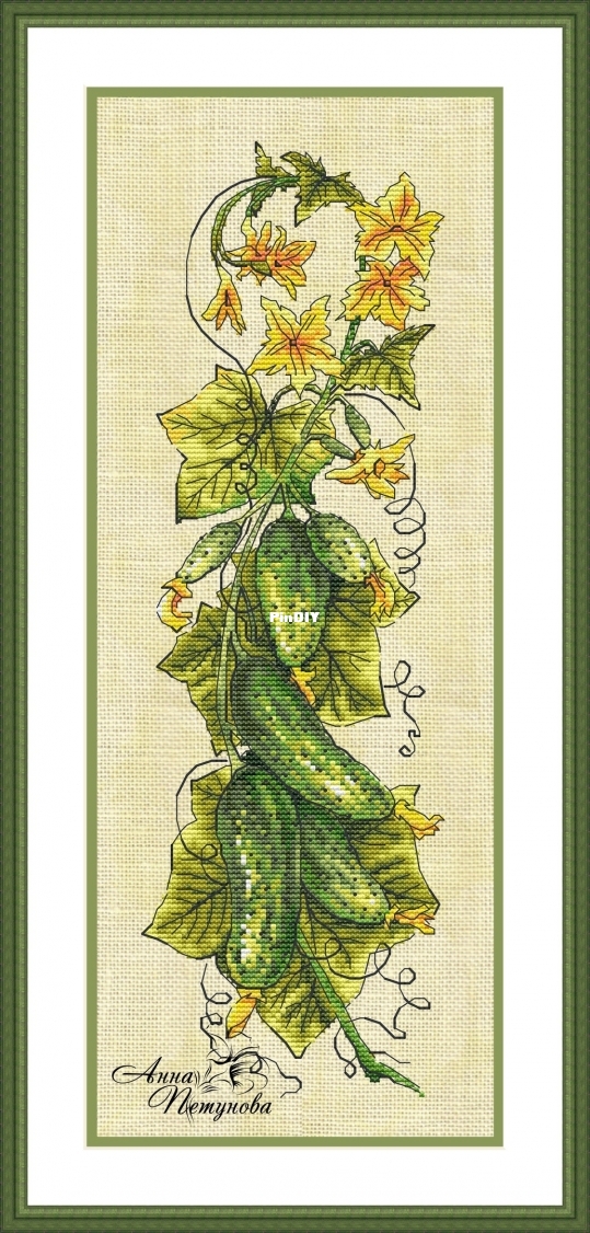 Cucumbers Branch.jpg