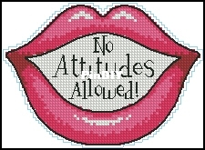 Dimensions 73003 - No attitudes allowed.jpg