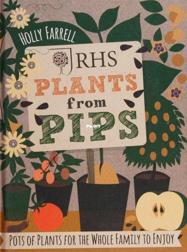 Plants from pips - Farrell Holly