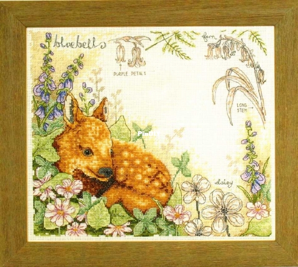 Anchor PSC502 OK Fawn and Bluebells JPG.JPG