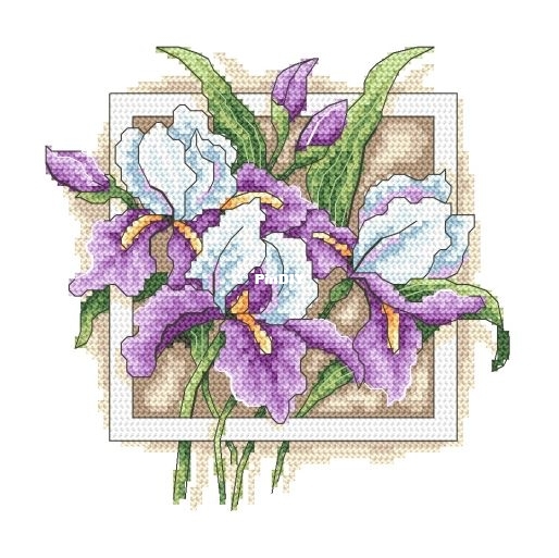 Coricamo GC 10314 - Stately Irises.jpg