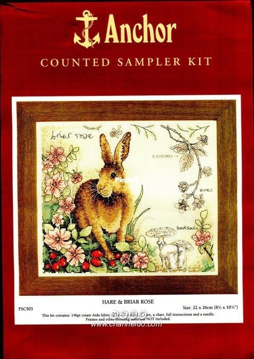 Anchor PSC503 Hare and Briar Rose_1.jpg