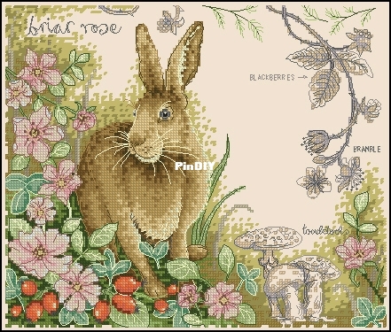 Anchor PSC503 Hare and Briar Rose.jpg