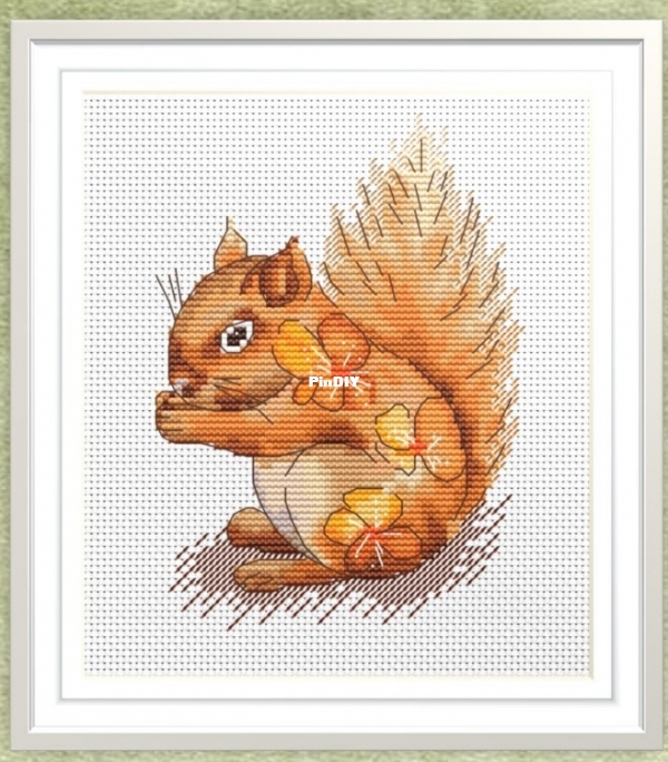 squirrel.jpg