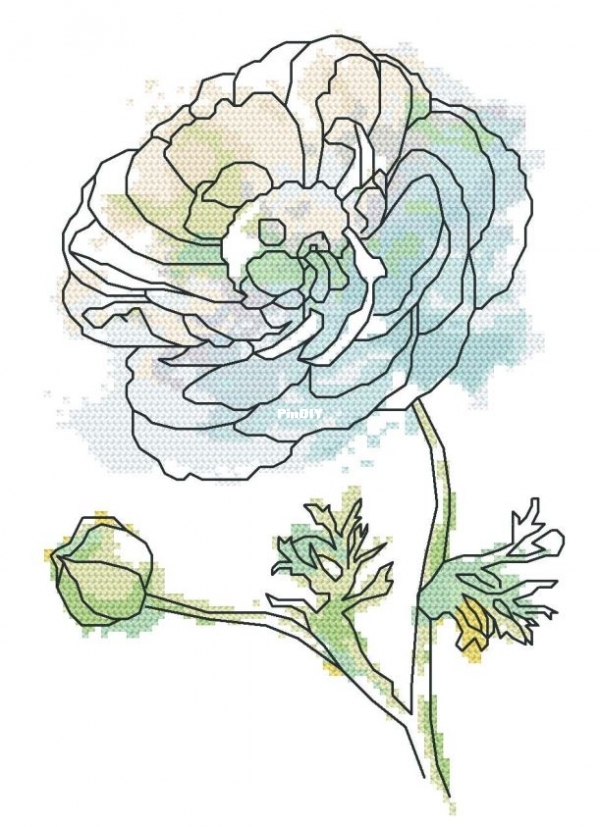 Colorful anemone.jpg