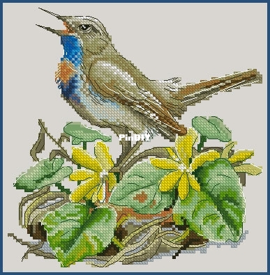 Paradise_Stitch_Bluethroat_Olga_Lankevich.jpg