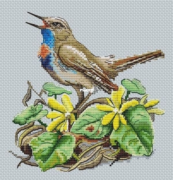 Paradise_Stitch_Bluethroat_Olga_Lankevich orig.jpg