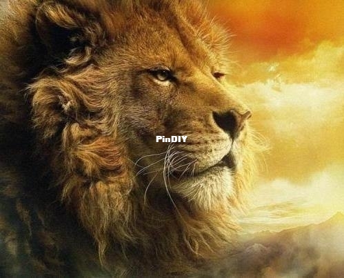 Chimera aslan 2.jpg