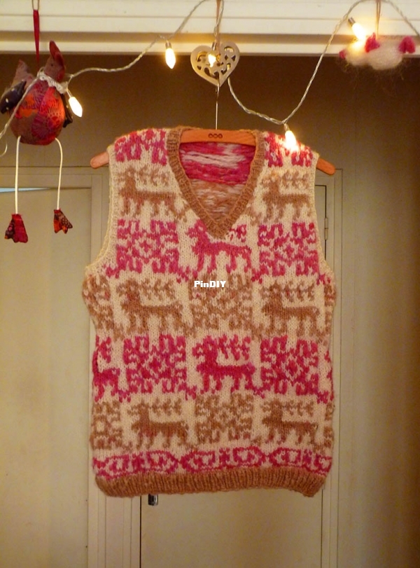 ReindeerVest.jpg