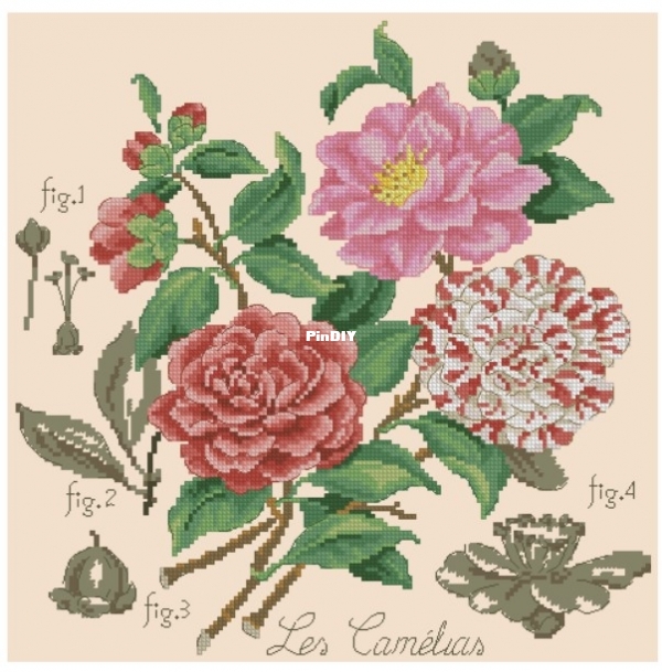 LBP_Etude_aux_Camelias.jpg