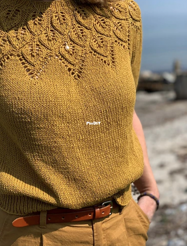 Sommer Ella Solo