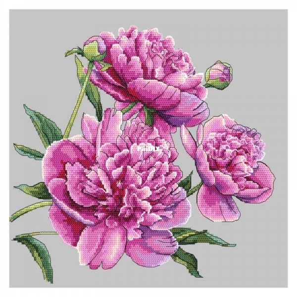 beautiful-peonies.jpg