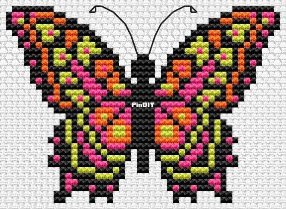 Butterfly.jpg