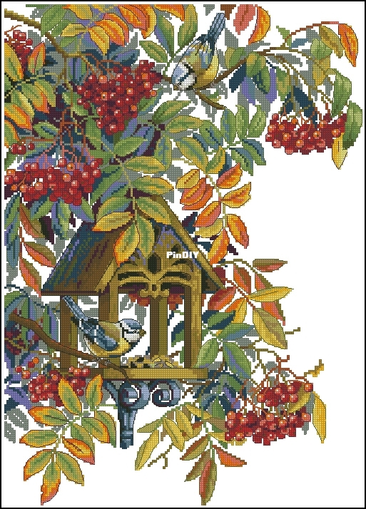 K-151 Colorful Rowan.jpg